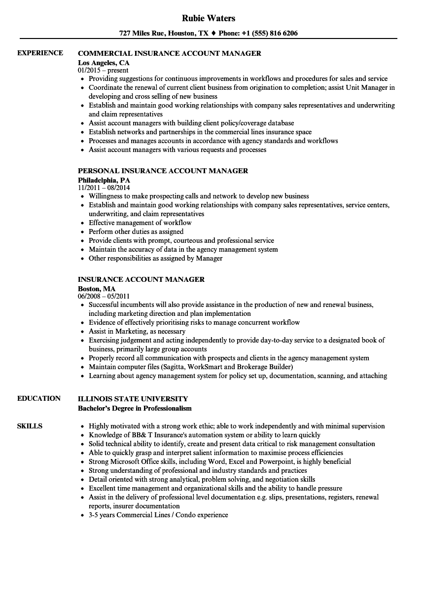 Account Manager Responsibilities Resume. account manager 