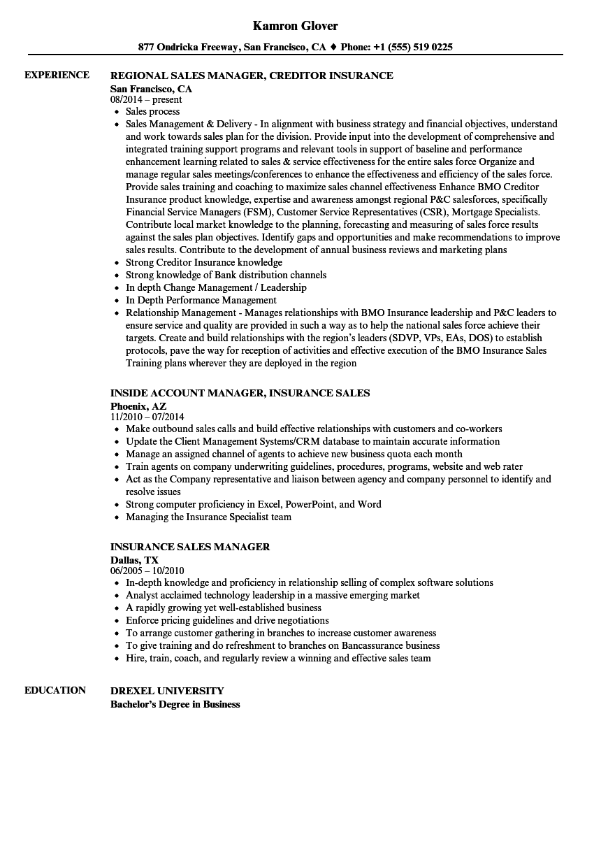 Resume Insurance Sales Insurance Sales Resumes