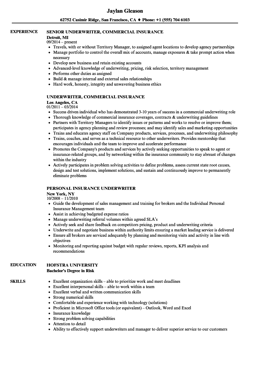 sample resume for underwriter position