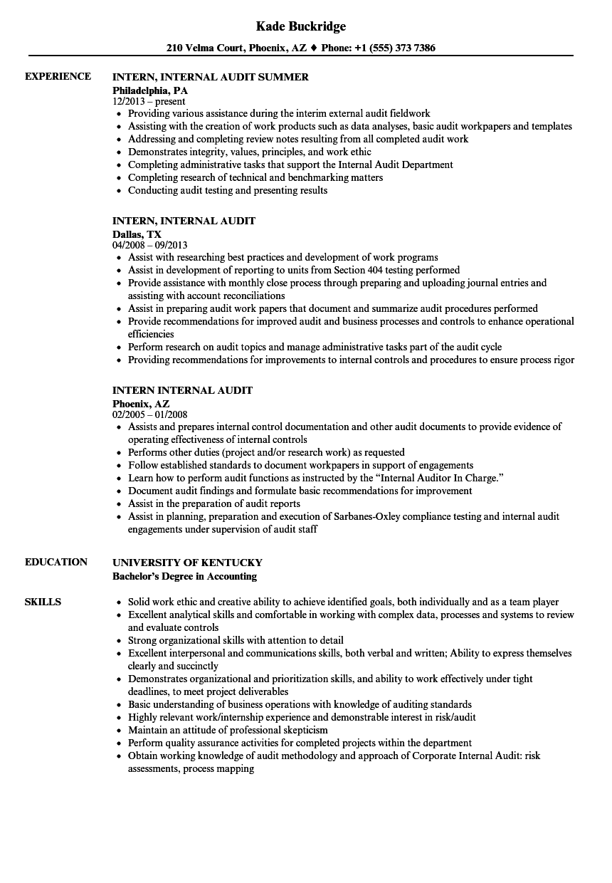 audit intern job description resume