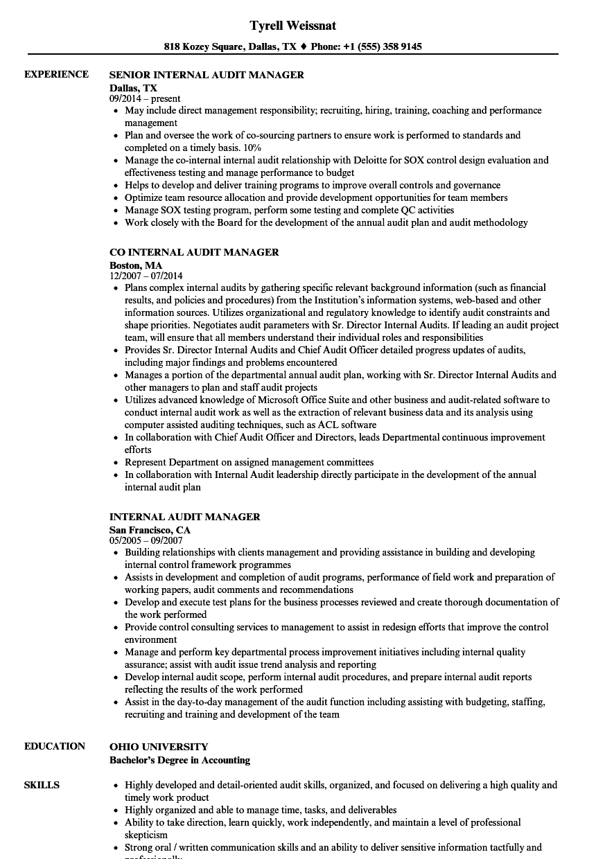 Internal Audit Manager Resume Samples Velvet Jobs