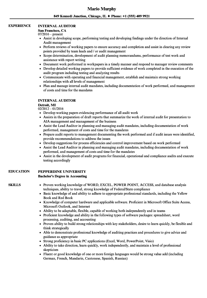 Information technology audit manager cv January 2021