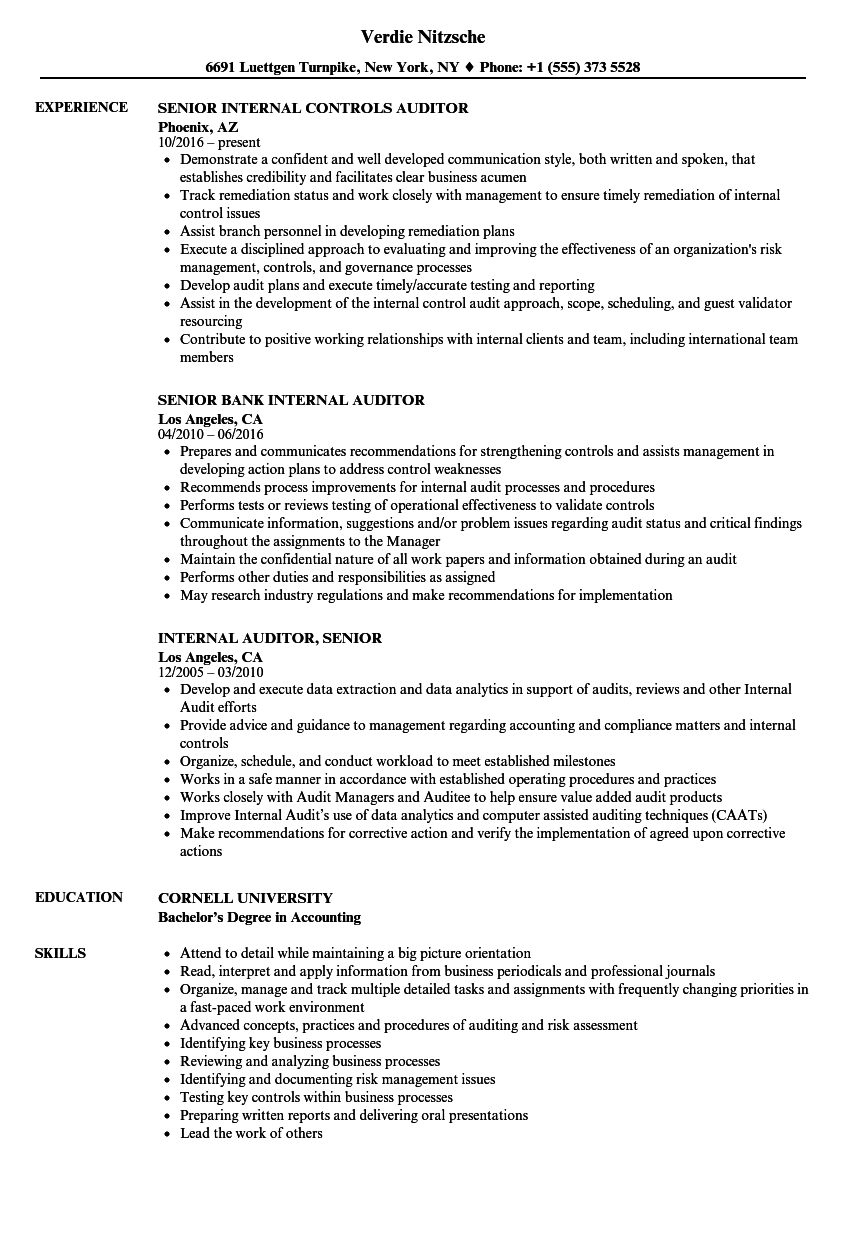 Internal Auditor, Senior Resume Samples | Velvet Jobs