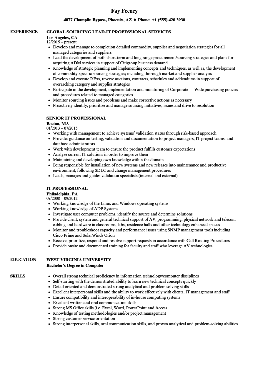 it professional resume template