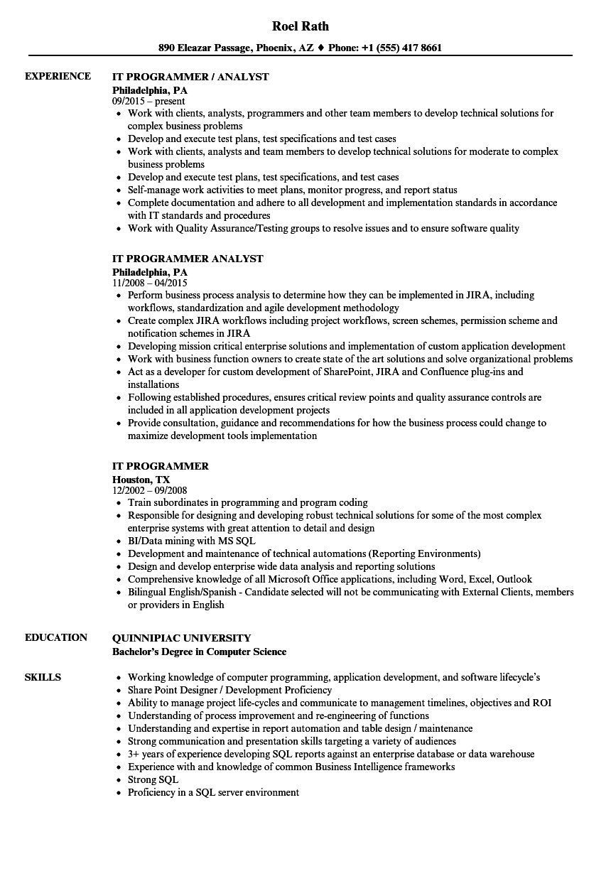 Computer Programmer Resume Template from www.velvetjobs.com