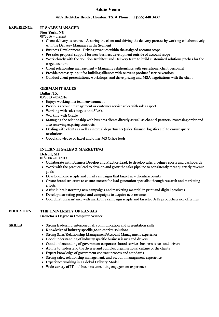 IT Sales Resume Samples | Velvet Jobs