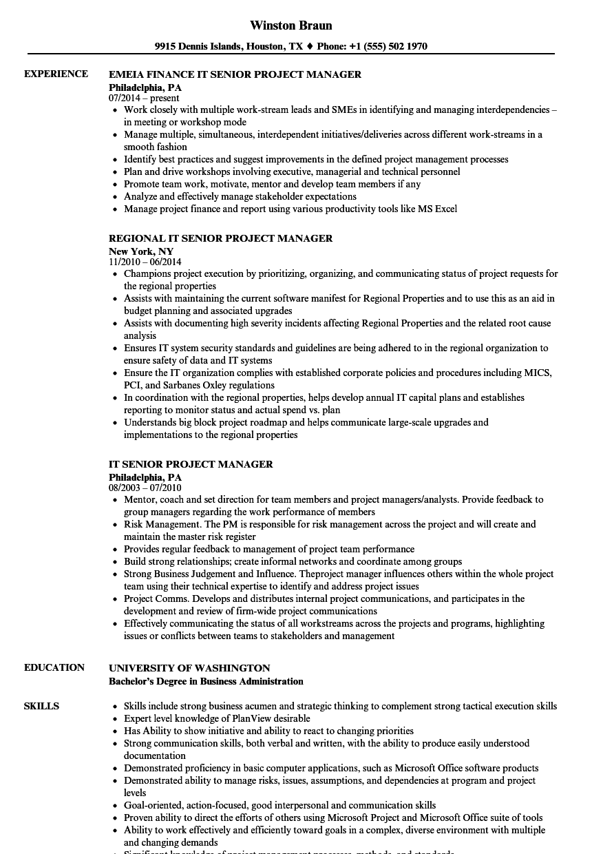 IT Senior Project Manager Resume Samples | Velvet Jobs