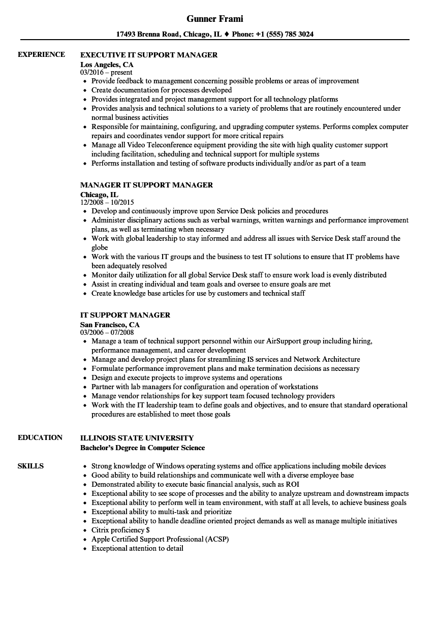 it application support manager resume