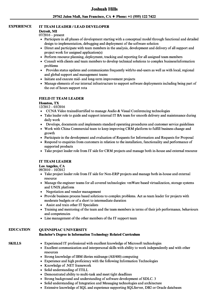 information technology team lead resume