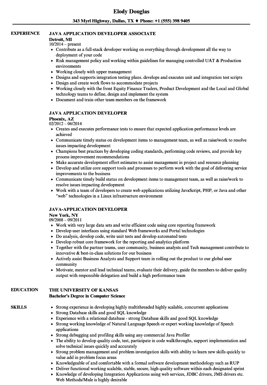 ibm rational application developer resume