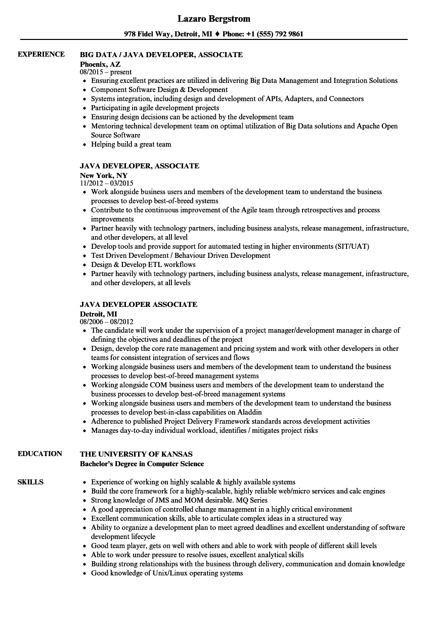 Junior java developer resume sample