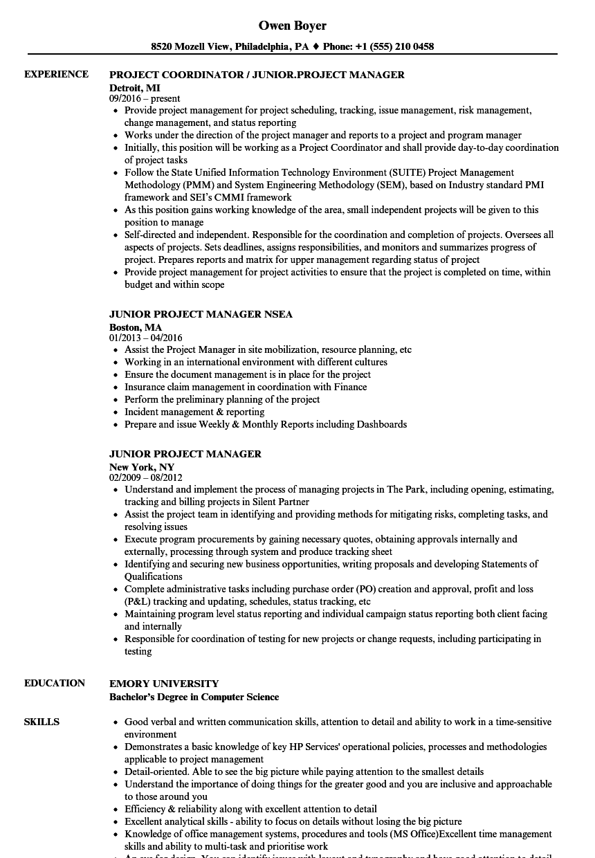 Junior Project Manager Resume Samples Velvet Jobs