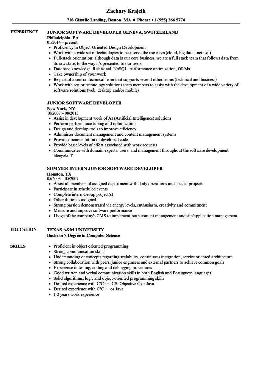 Developer Sample Resume For Experienced Software Engineer