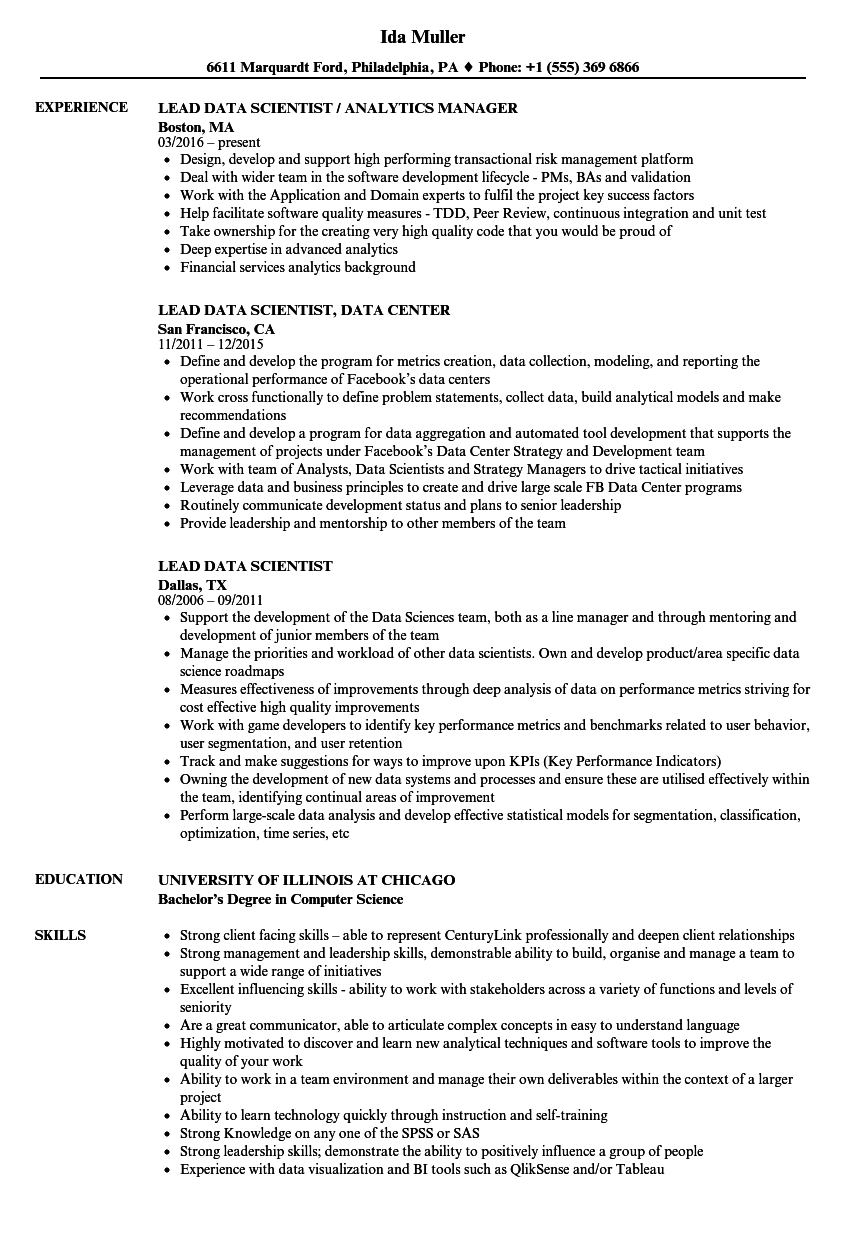 information technology team lead resume