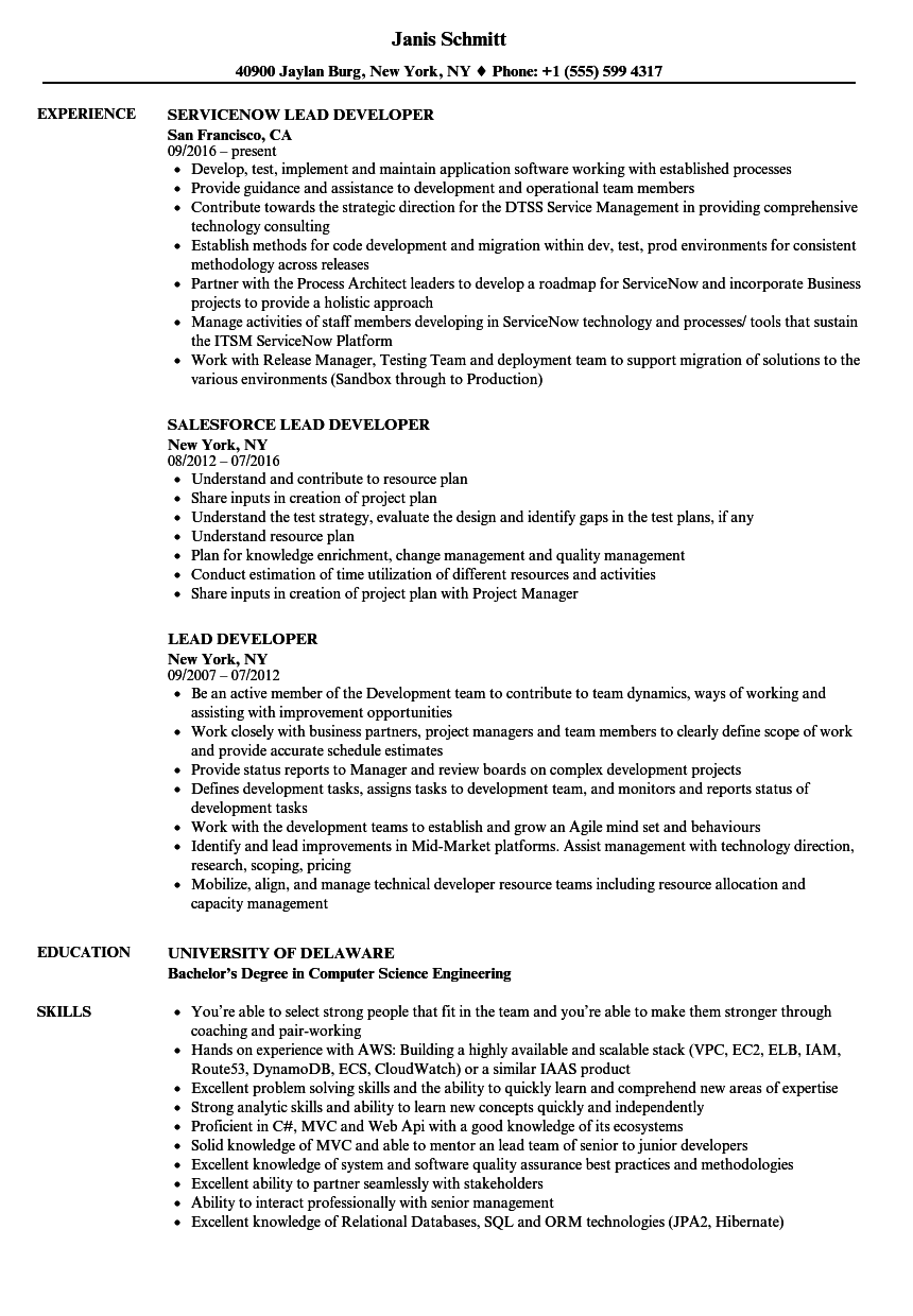 Lead Developer Resume Samples Velvet Jobs