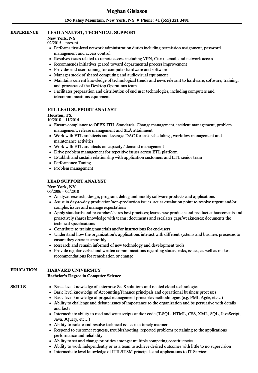 resume for application support lead