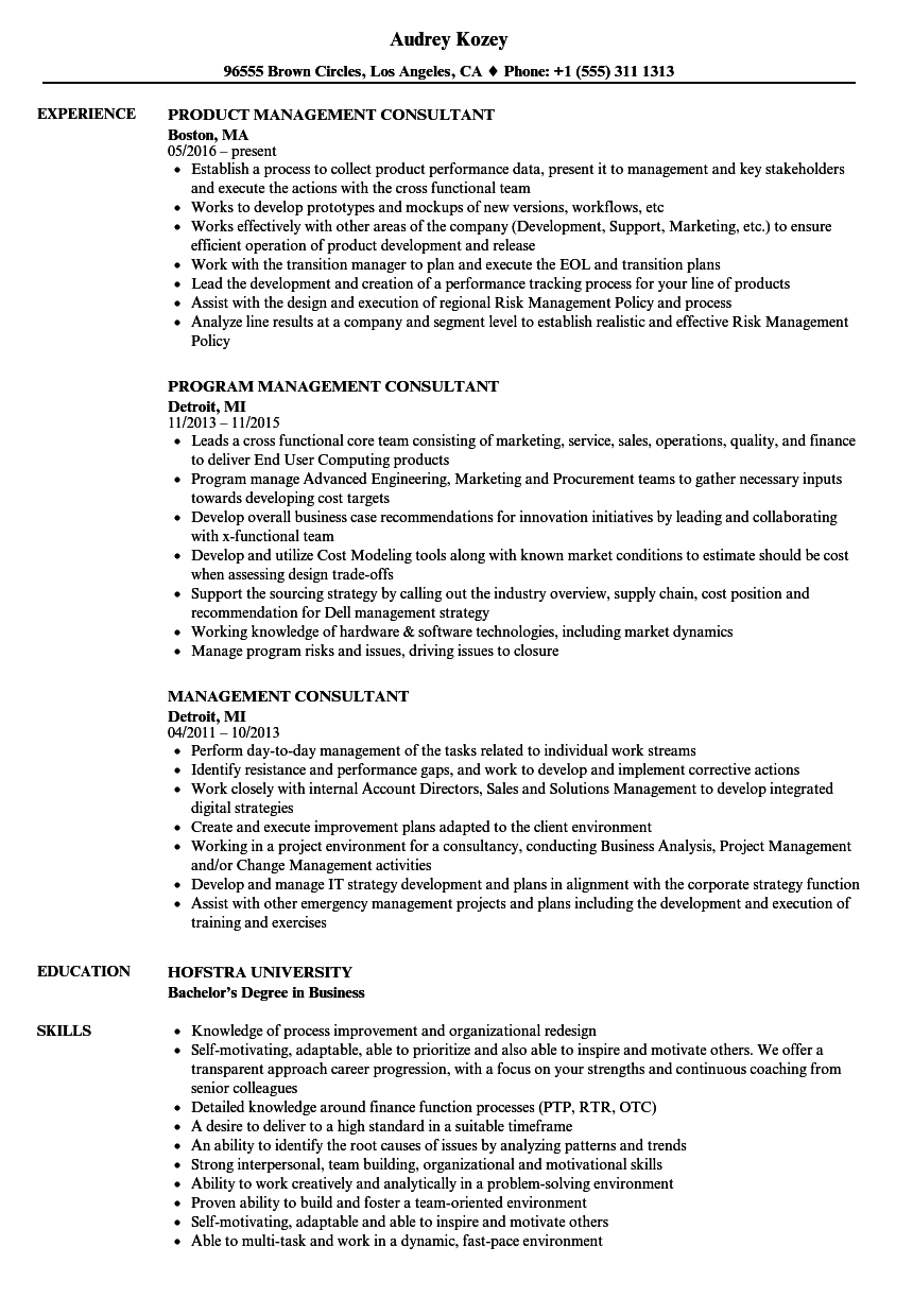 Management Consultant Resume Samples | Velvet Jobs