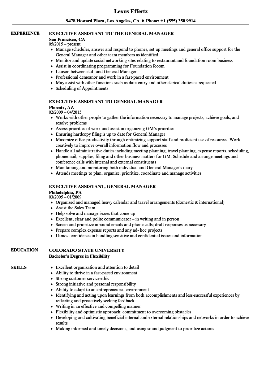 Job Description Of Executive Secretary To General Manager - Job Retro