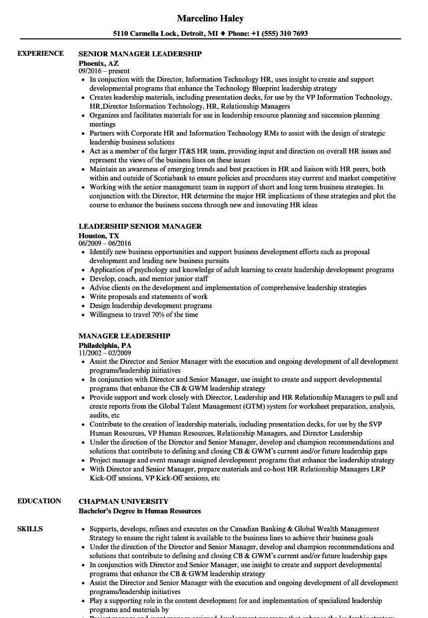 resume examples for leadership skills