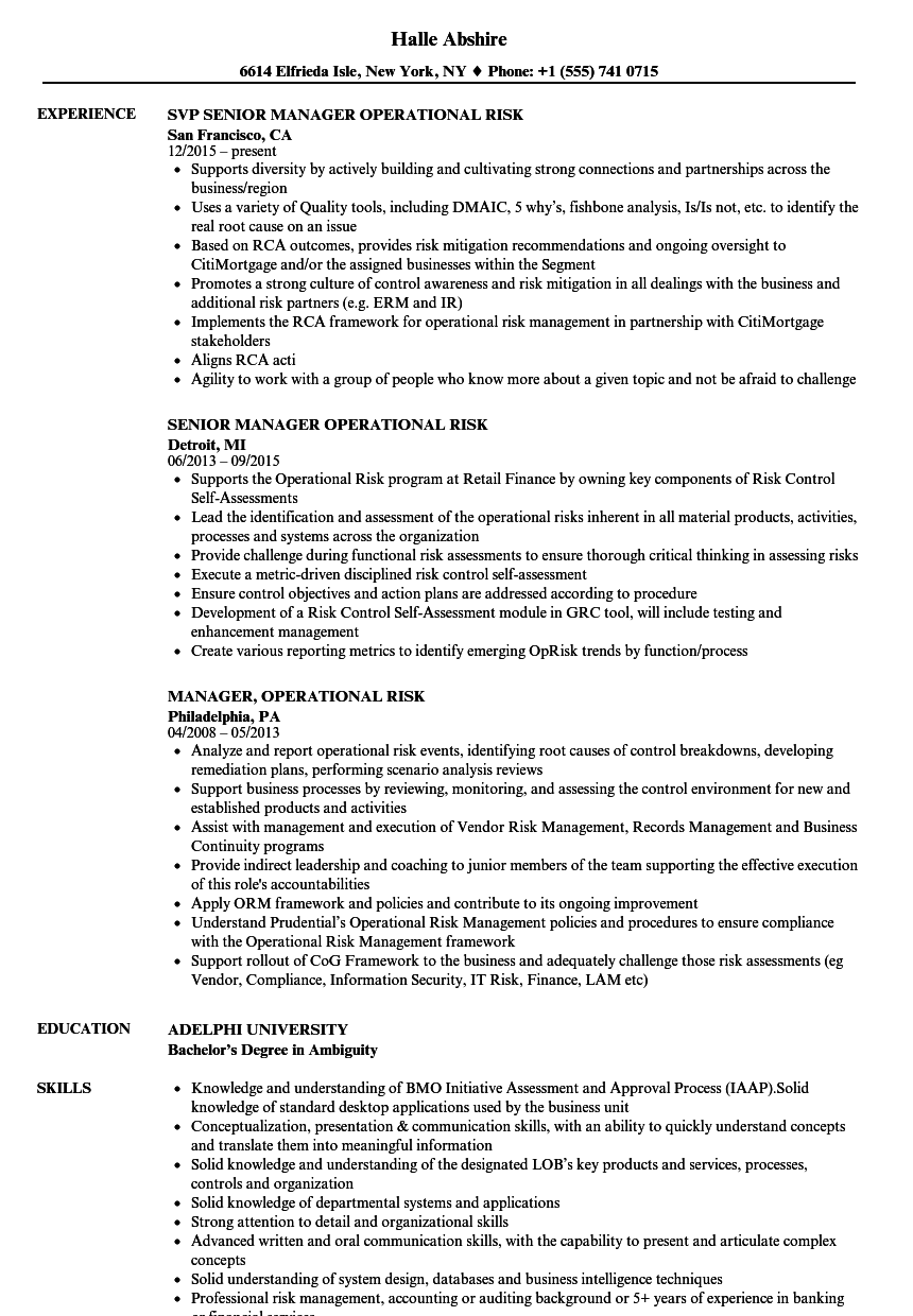 operational risk manager jobs operational risk manager jobs