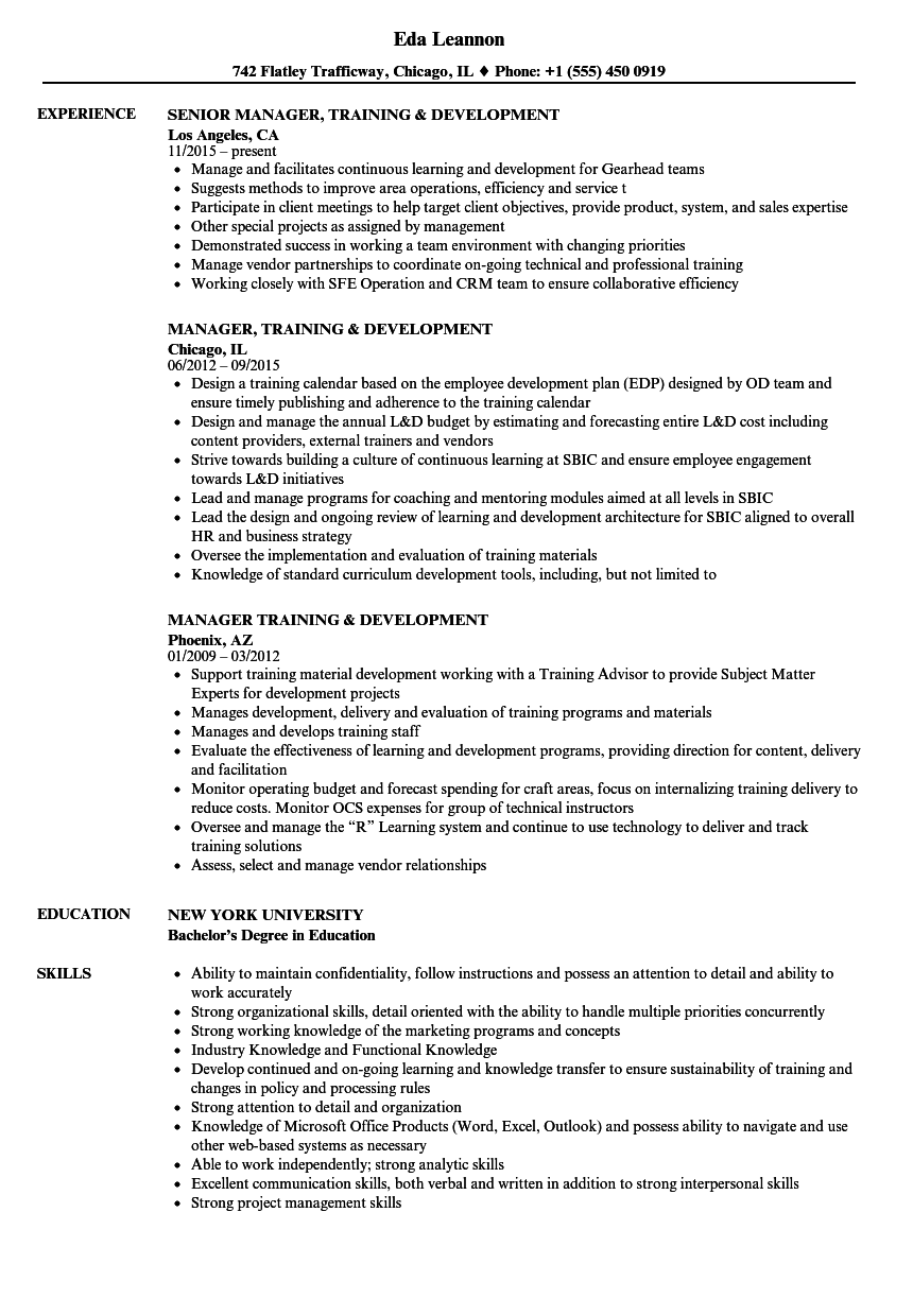 resume objective examples for training and development