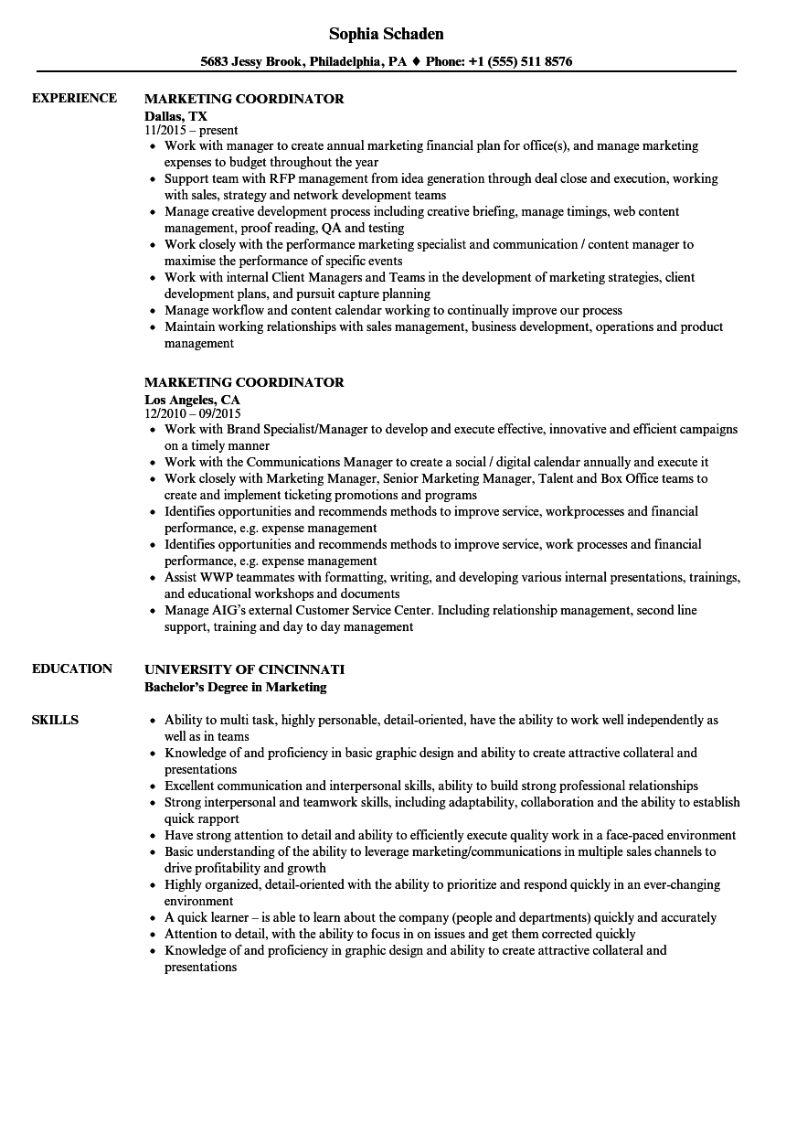 Marketing Coordinator Resume Samples  Velvet Jobs