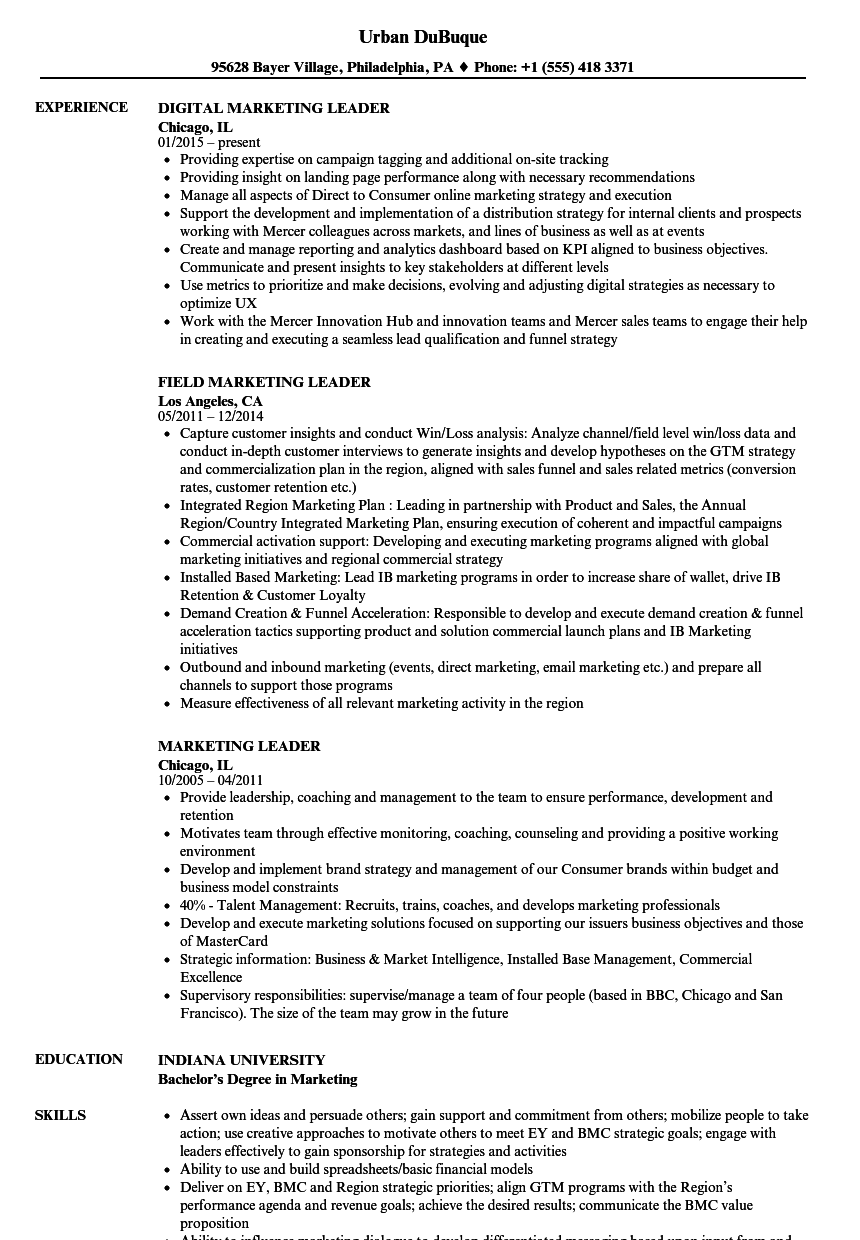 marketing team leader job resume