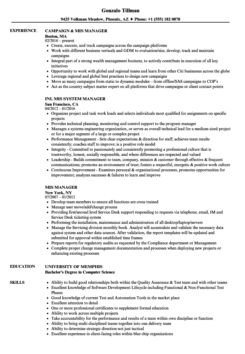 mis executive resume format download