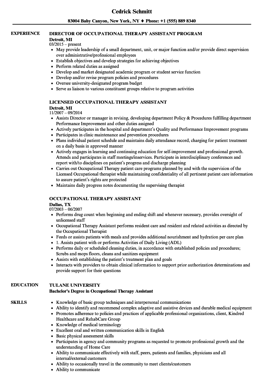 Occupational Therapy Daily Notes Template from www.velvetjobs.com