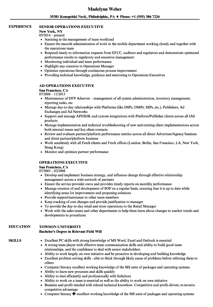 Operations Executive Resume Sample