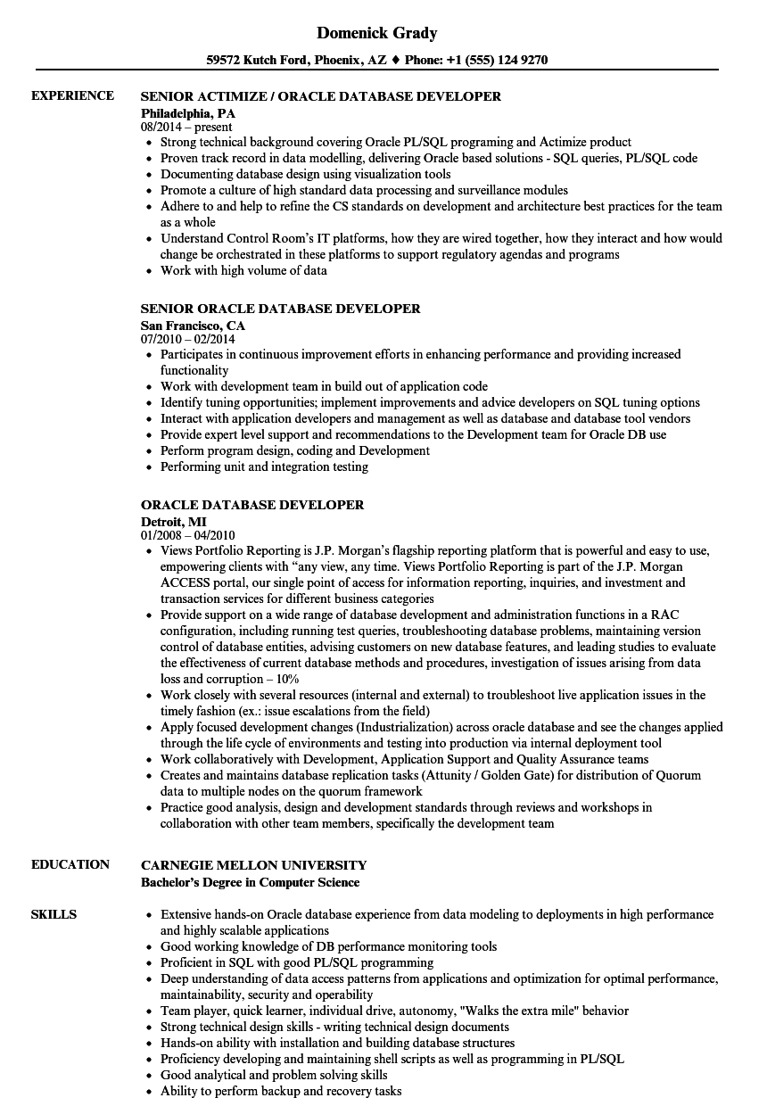 Oracle Database Developer Resume Samples | Velvet Jobs