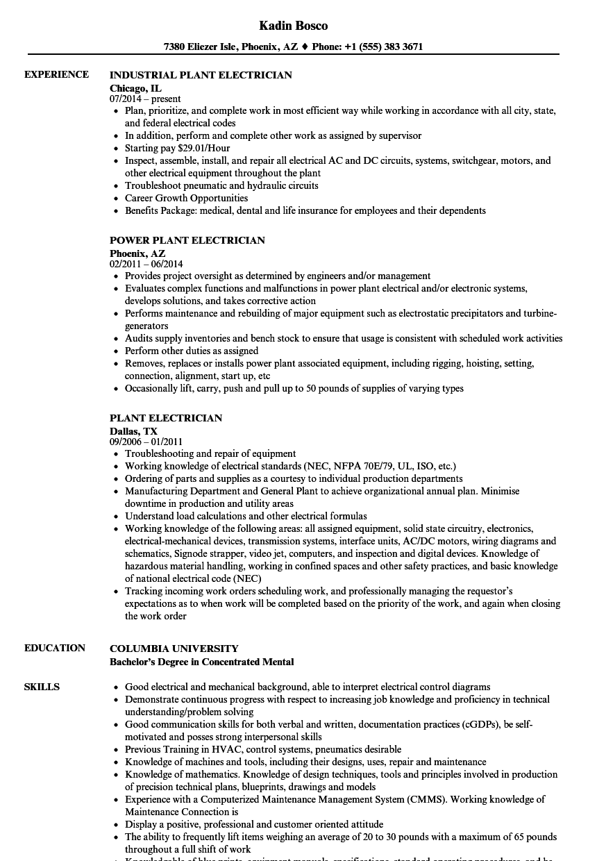 summary for resume electrician