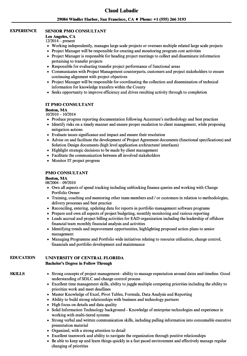 PMO Consultant Resume Samples | Velvet Jobs