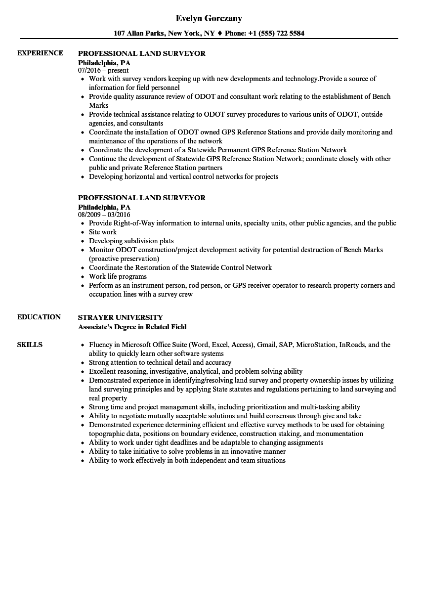 Surveyor Resume Sample