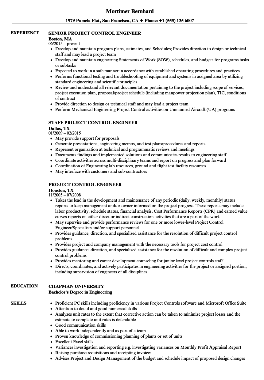 project cost control resume