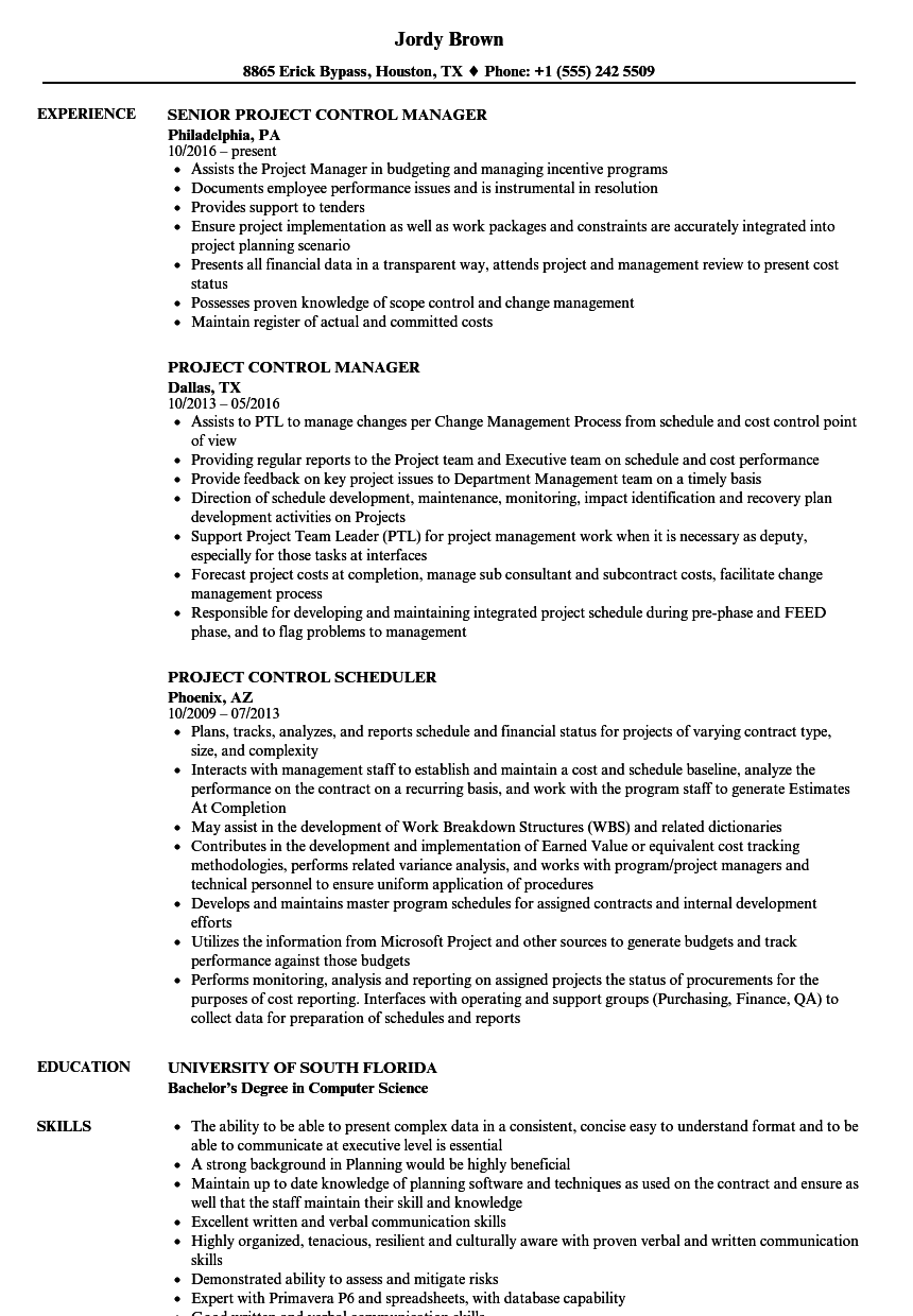 sample resume for project control officer