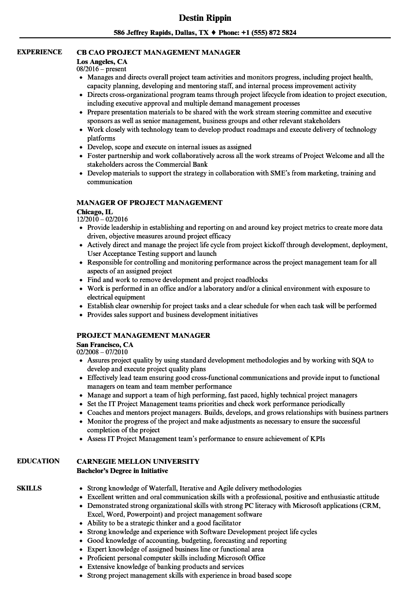 project manager resume velvet