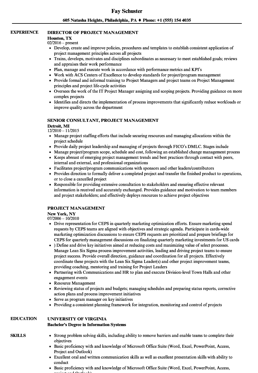 project management role resume