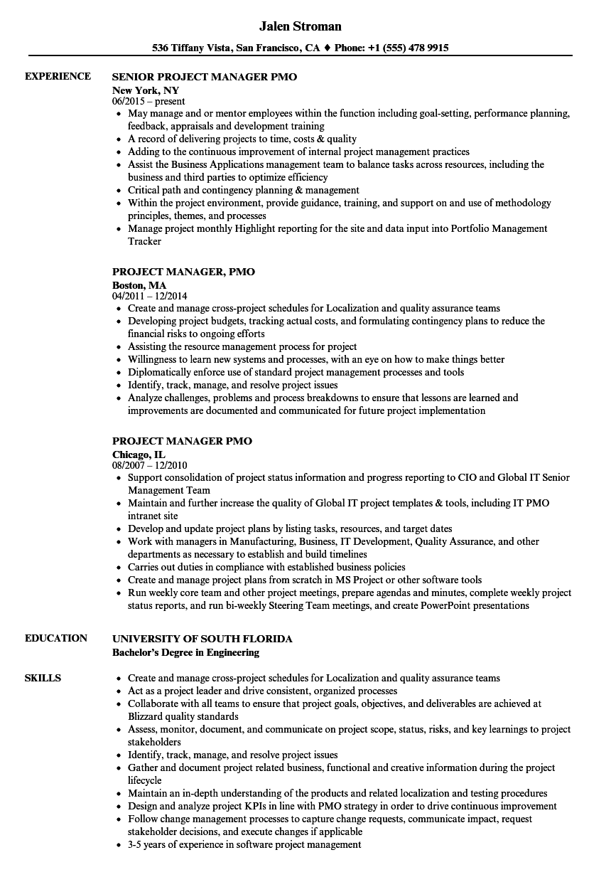 Pmo Cv Resume Sample