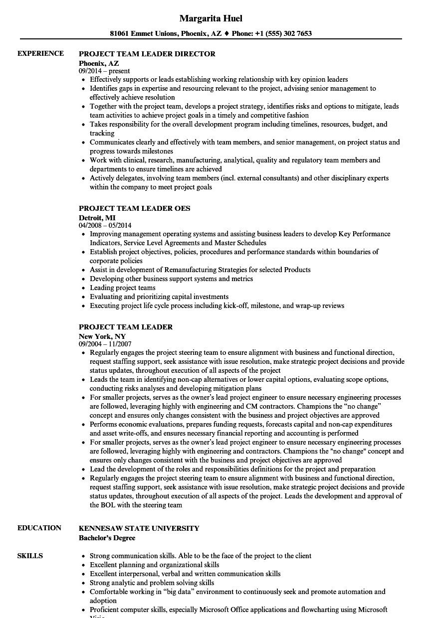 Team Leader Resume Sample - Mryn Ism