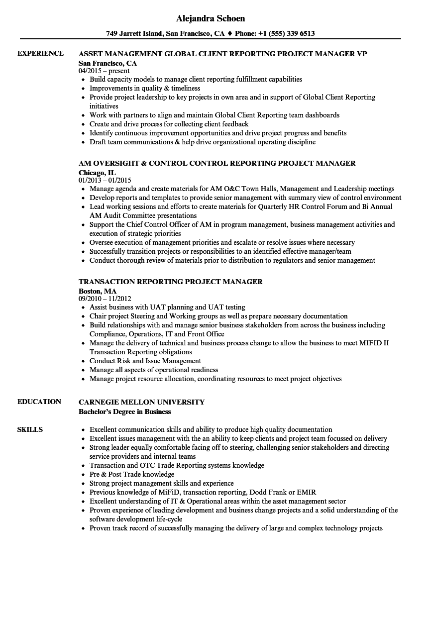 Reporting Project Manager Resume Samples  Velvet Jobs