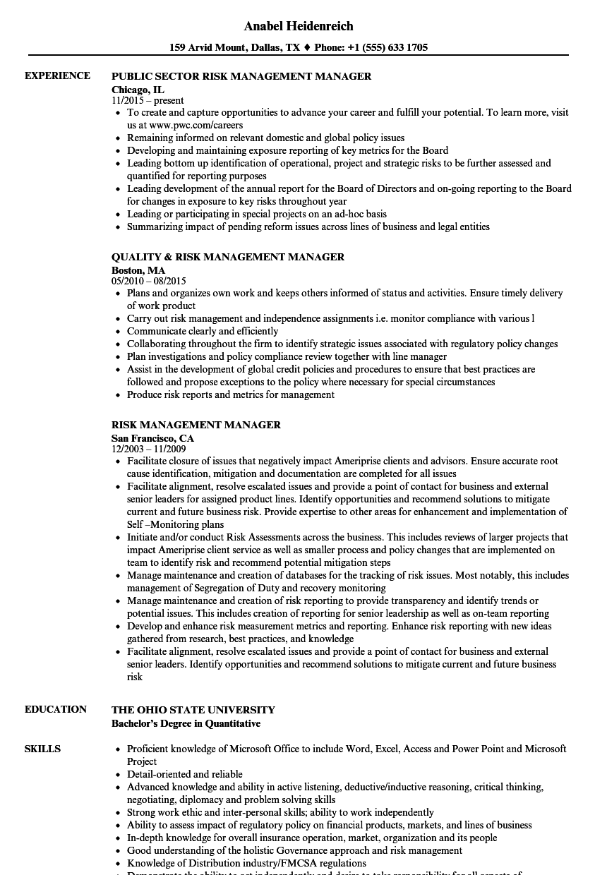 resume summary examples for risk management