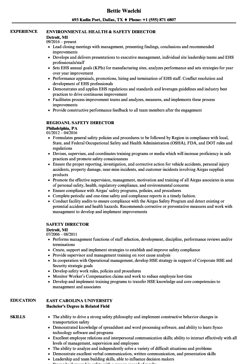 Safety Director Resume Samples | Velvet Jobs