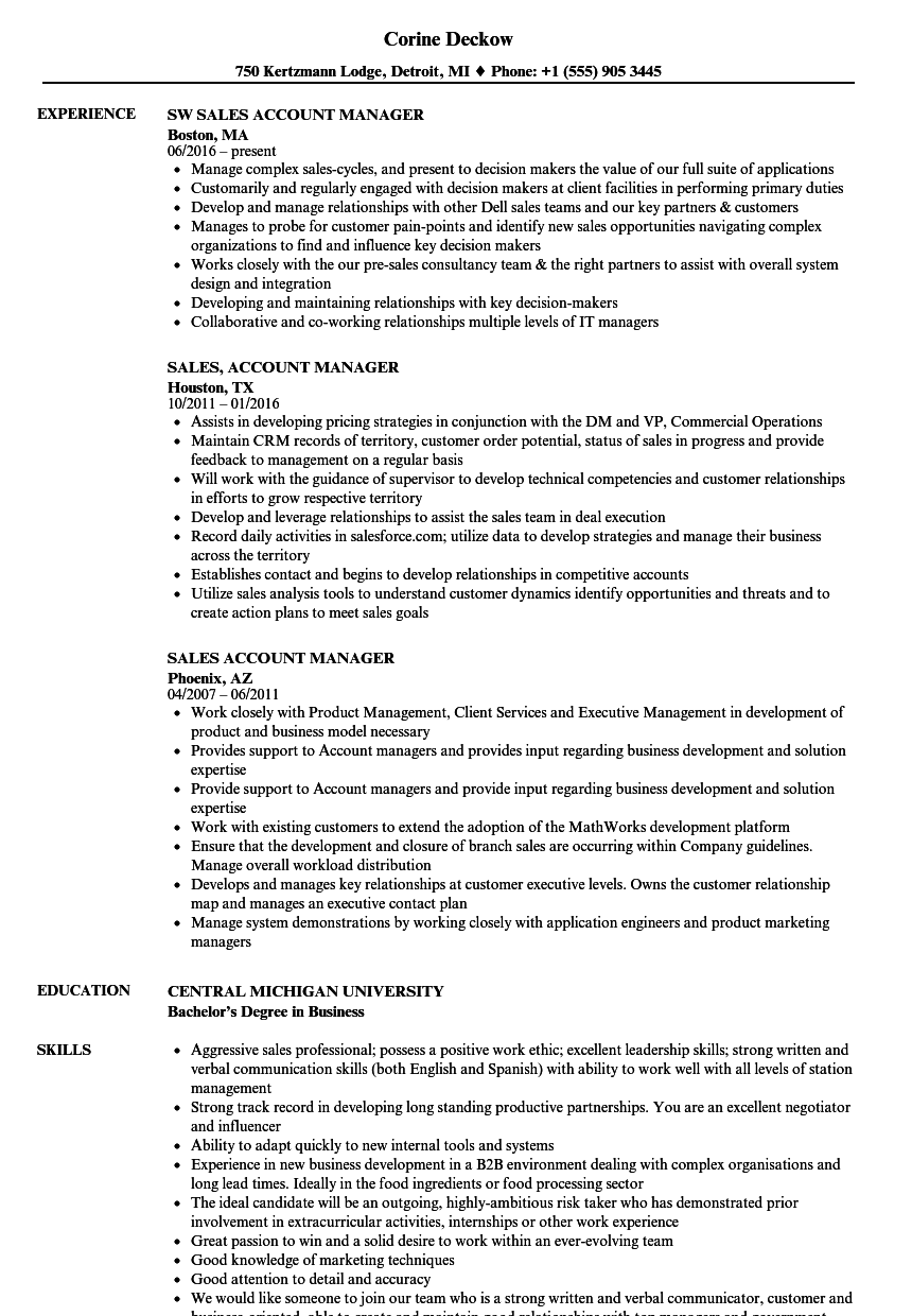 Sale Account Manager Resume - Account Manager CV Example