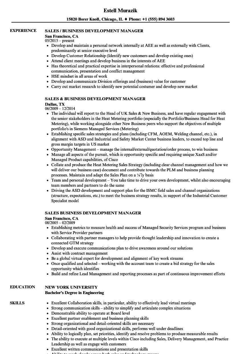 business development manager resume sample india