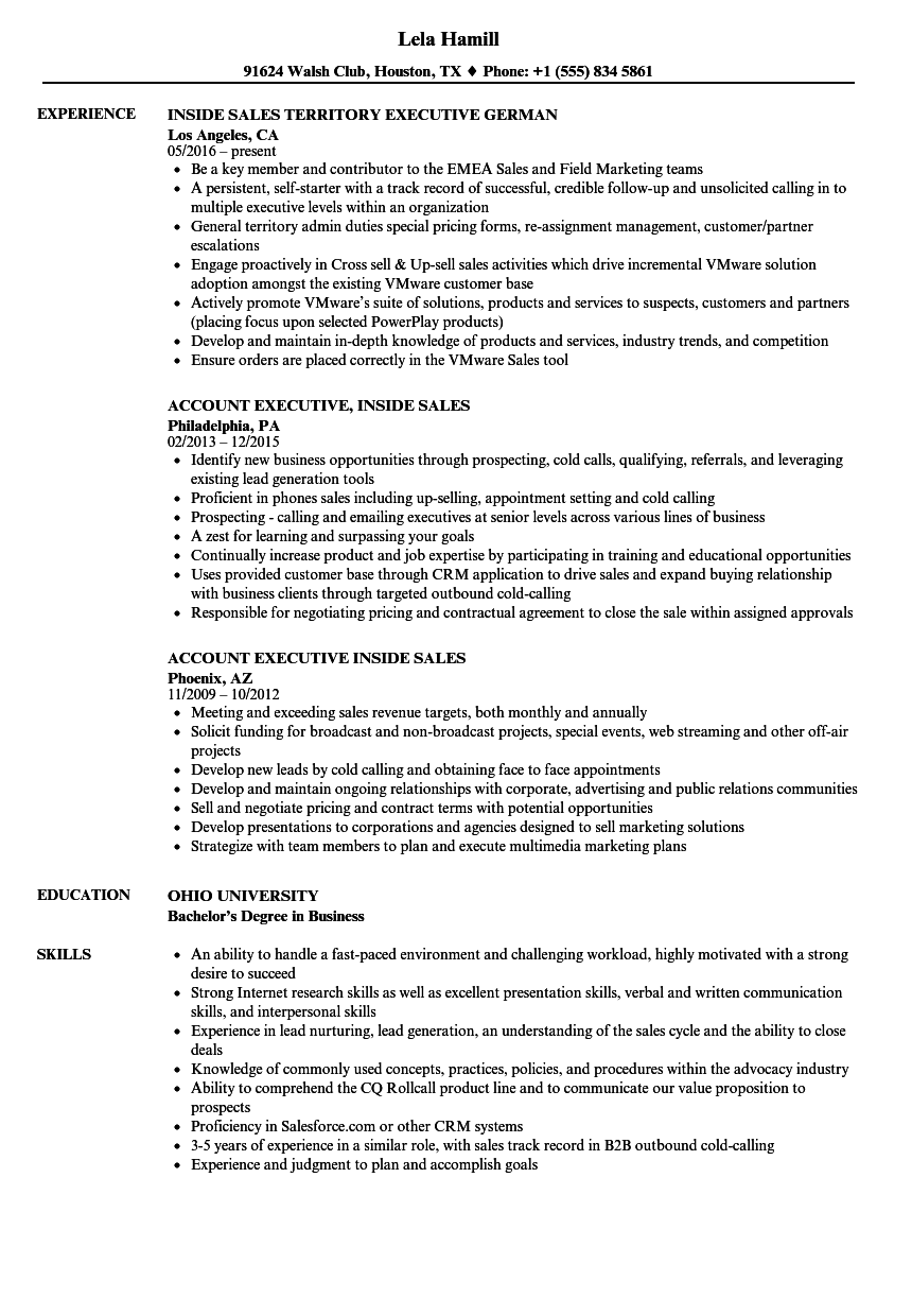 Sales Executive, Inside Sales Resume Samples | Velvet Jobs