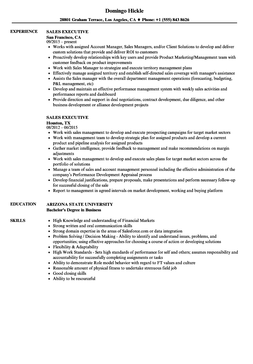 PDF Account Executive MEC Paris PDF T l charger Download