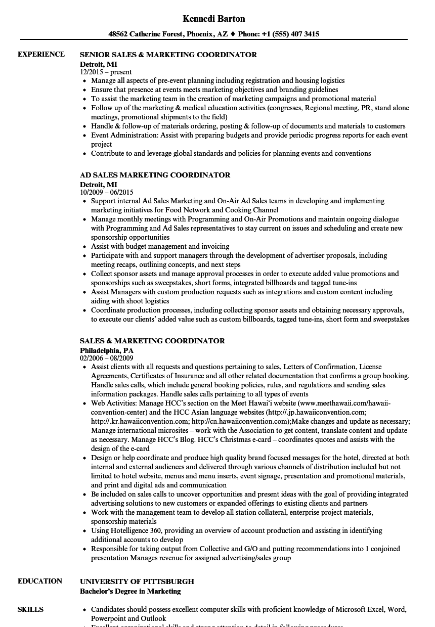 job description for resume marketing coordinator