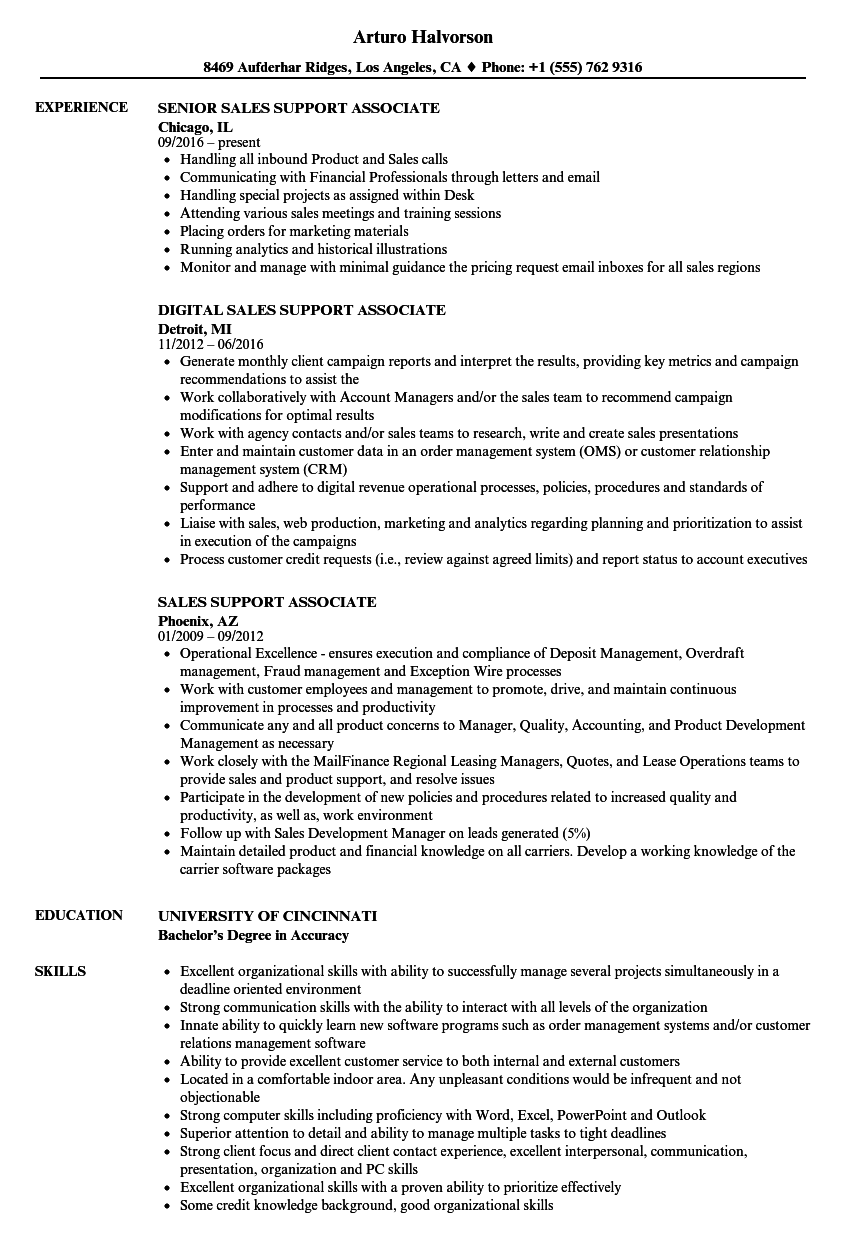 sales support resume objective