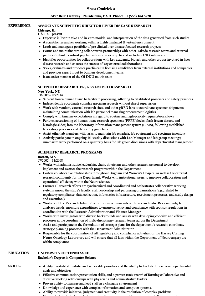 resume builder project research paper